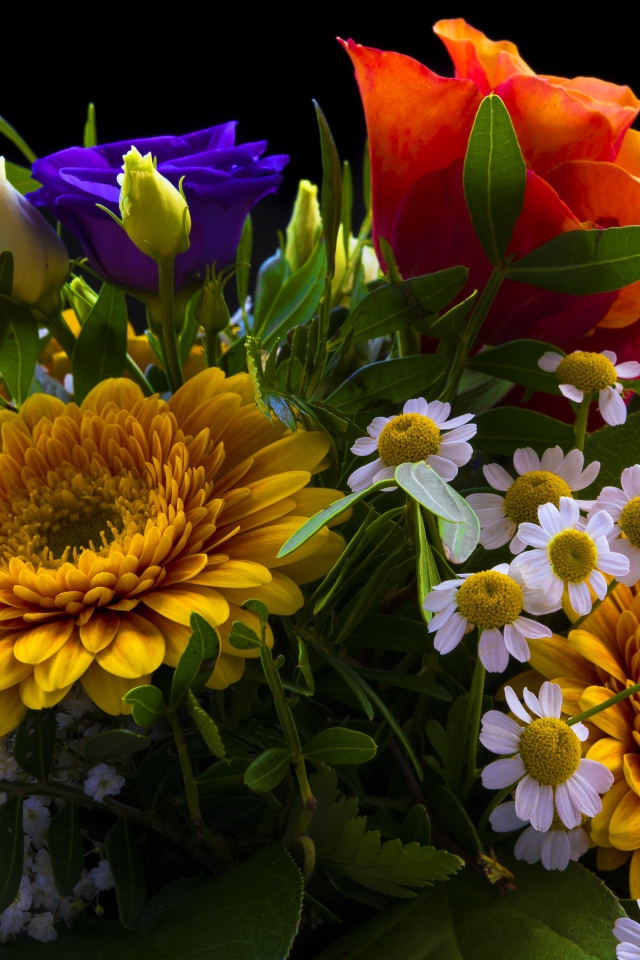 Красивый букет разноцветных цветов на черном фоне