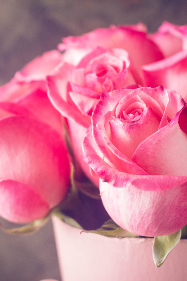 Красивый букет нежных розовых роз крупным планом