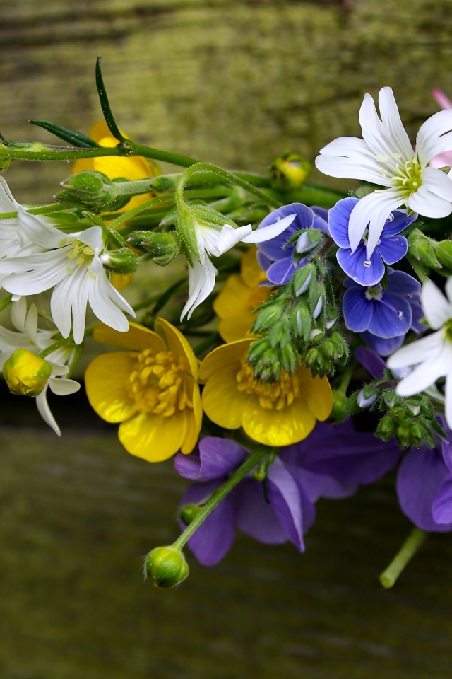 Красивый букет полевых цветов