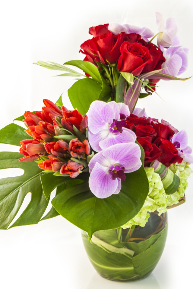 Красивые цветы в стеклянной вазе на белом фоне