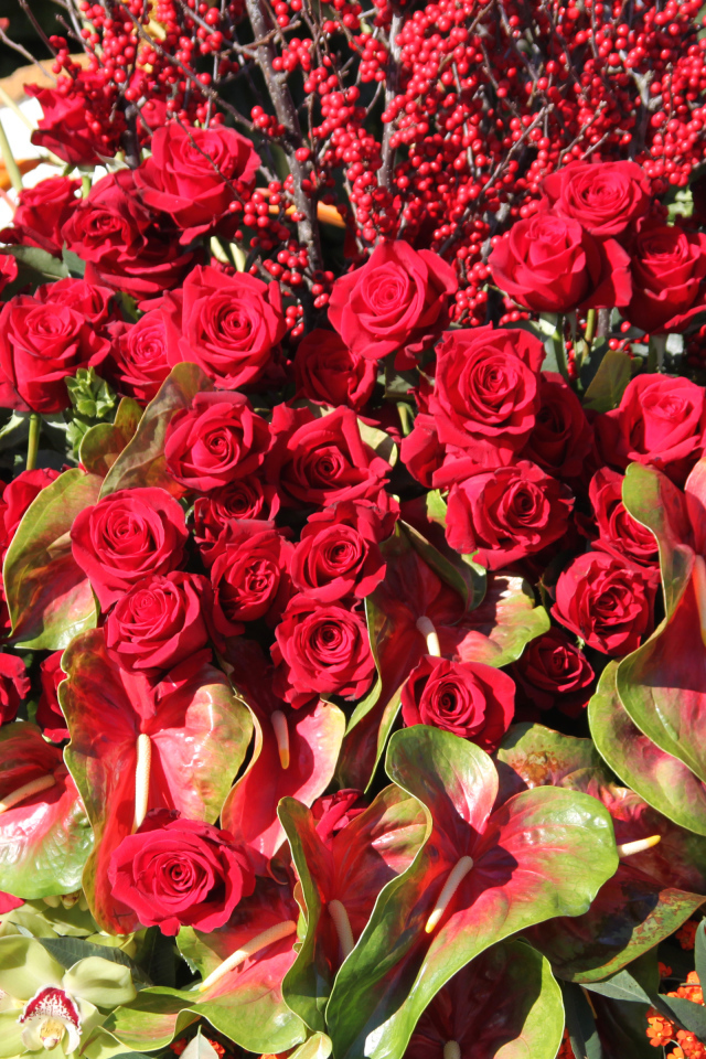 Красивые красные розы с цветами антуриум