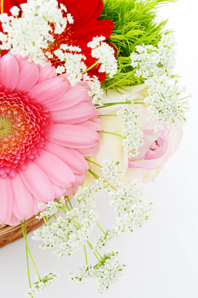 Красивый нежный букет с цветами герберы на белом фоне