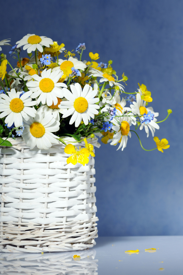 Красивые нежные ромашки и незабудки в плетеной вазе