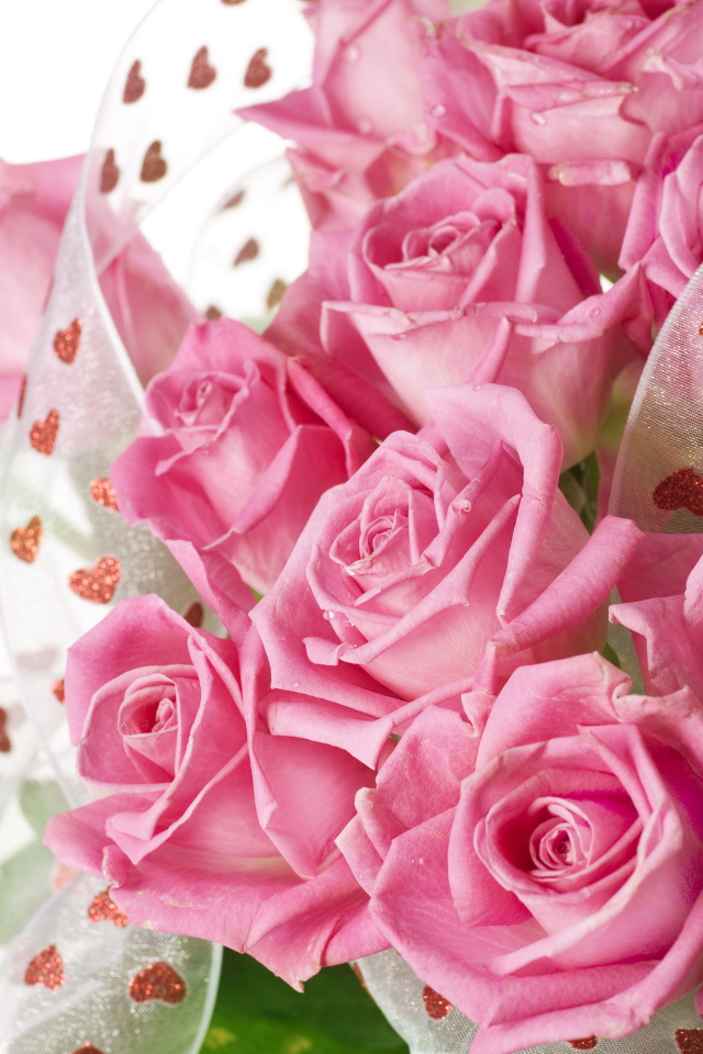 Big beautiful bouquet of pink roses with a satin ribbon on a white background
