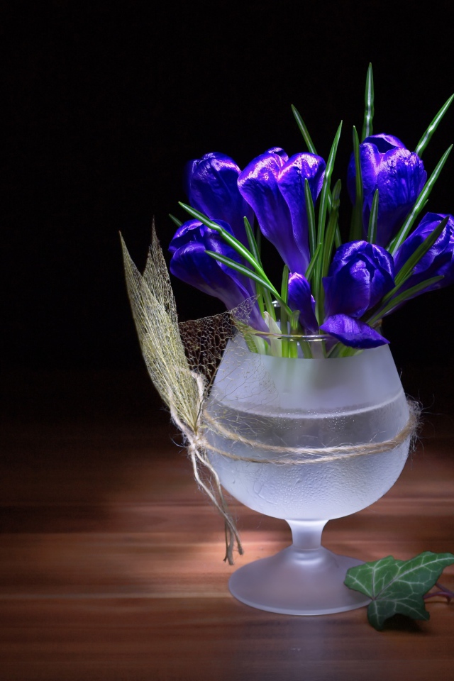 Синие крокусы в стеклянном бокале на черном фоне