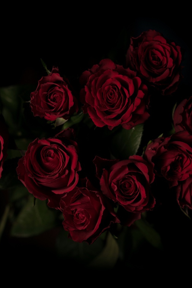 Букет красивых бордовых роз на черном фоне