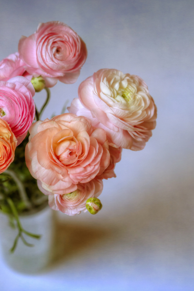 Букет лютиков в вазе на сером фоне