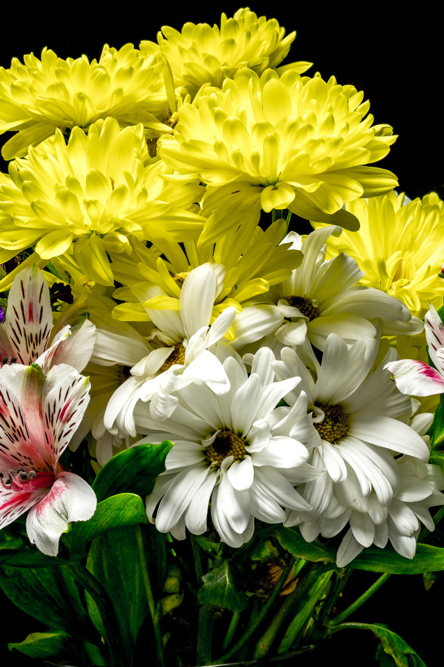 Букет с цветами хризантемы и альстромерии на черном фоне