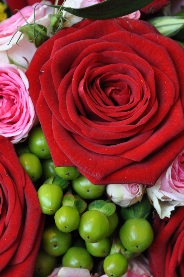 Букет из крупных красных роз с розовыми 