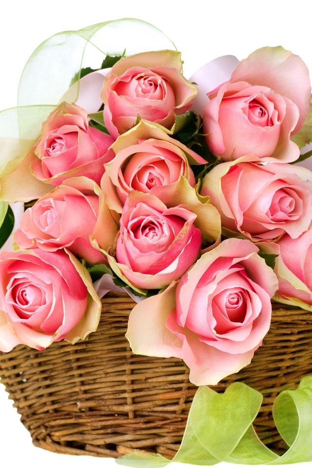 Букет розовых роз в корзине с лентой на белом фоне