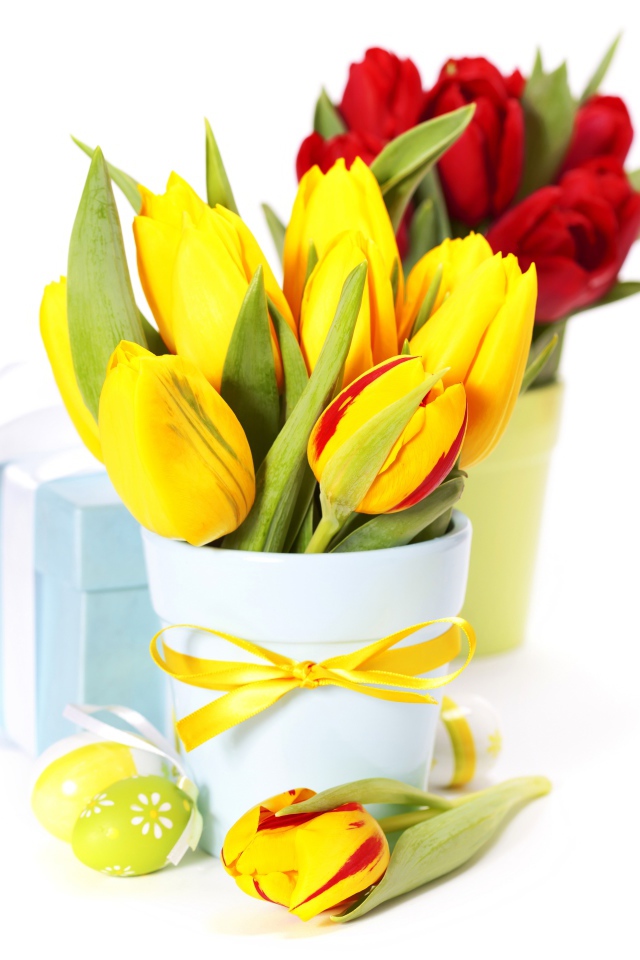 Букет красных и желтых тюльпанов на белом фоне на Пасху