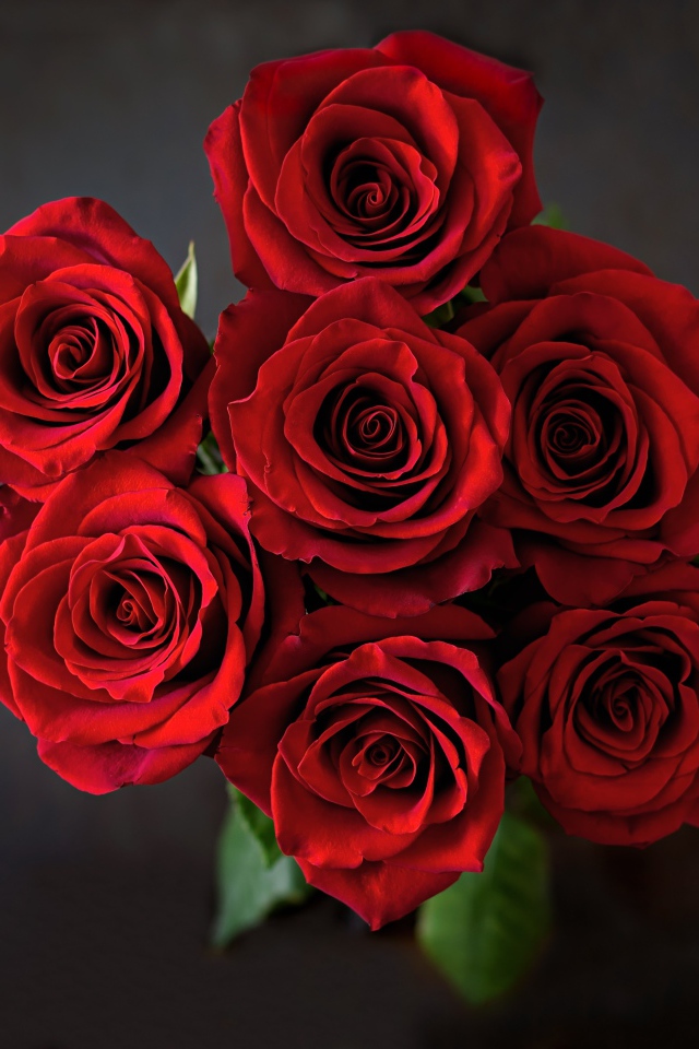 Букет красных роз на сером фоне вид сверху