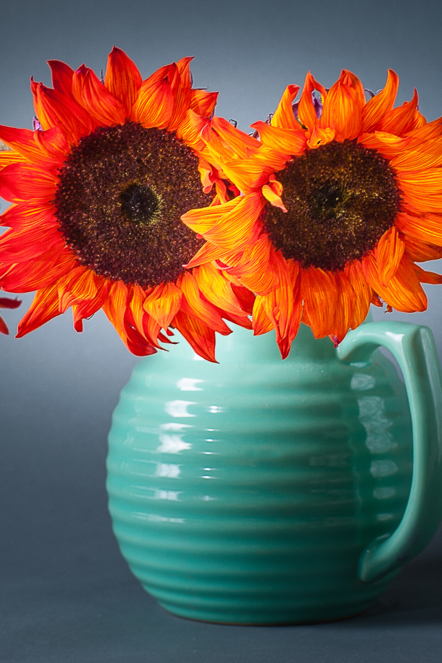 Букет подсолнухов  в голубой вазе на сером фоне