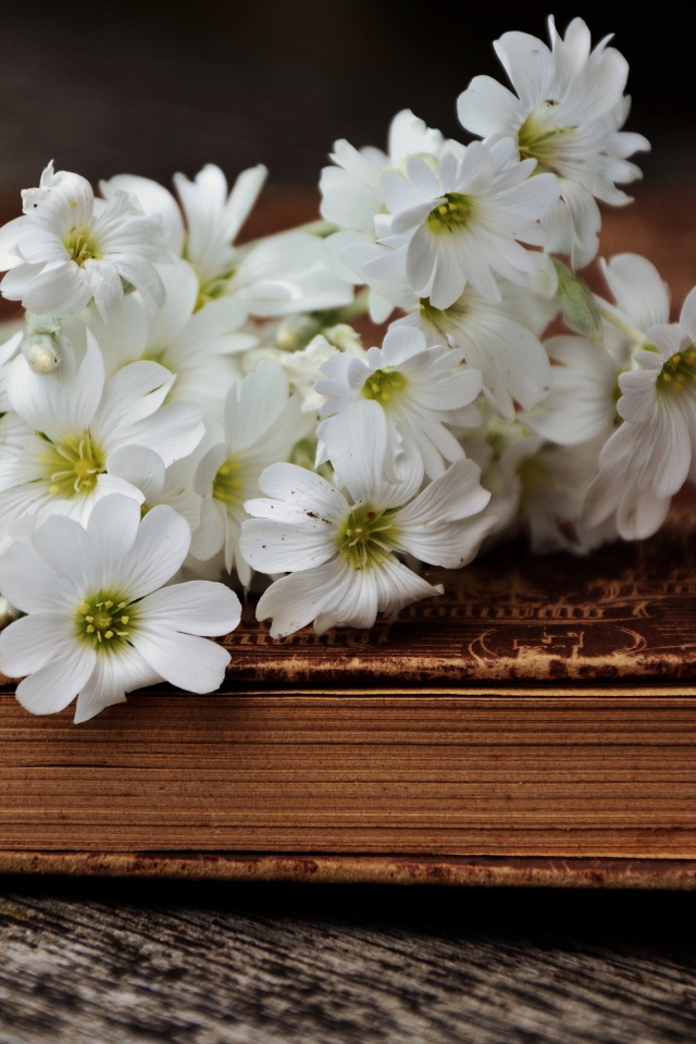 Букет белых нежных цветов на старой книге 