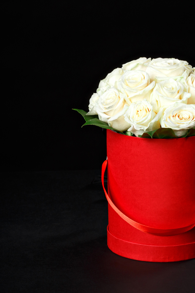 Букет белых роз в красном ведре на черном фоне
