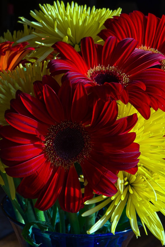 Букет желтых хризантем с красными герберами 