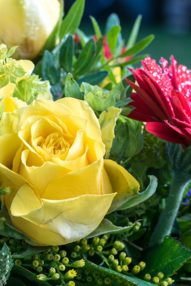 Букет желтых роз с красными цветами герберы 