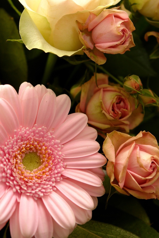 Букет с розовыми герберами и розовыми розами