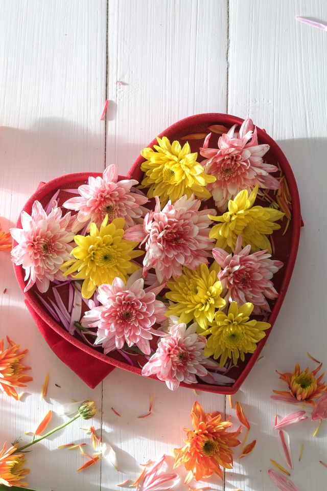 Коробка в форме сердца с цветами хризантемы