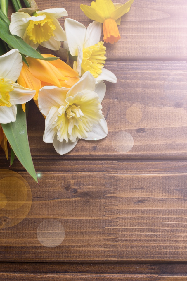 Нарциссы и желтые тюльпаны на деревянном фоне