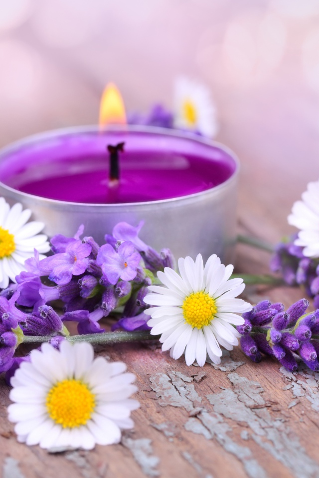 Зажженная свеча с цветами ромашки и лаванды