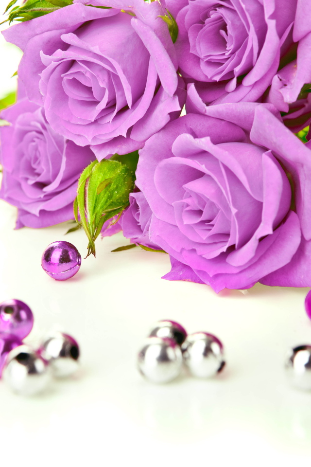 Сиреневые розы с бусинами на белом фоне