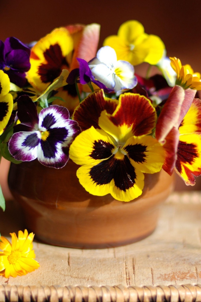 Цветы анютины глазки в вазе 