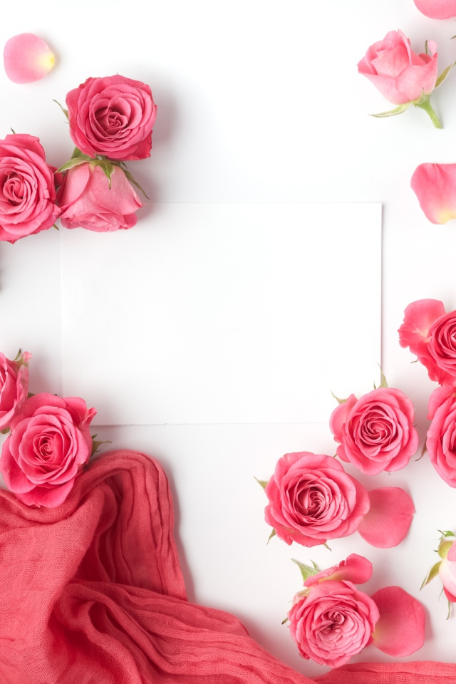 Розовые розы с белым листом бумаги на белом фоне