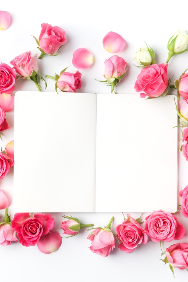 Розовые розы с белым листом, шаблон для открытки