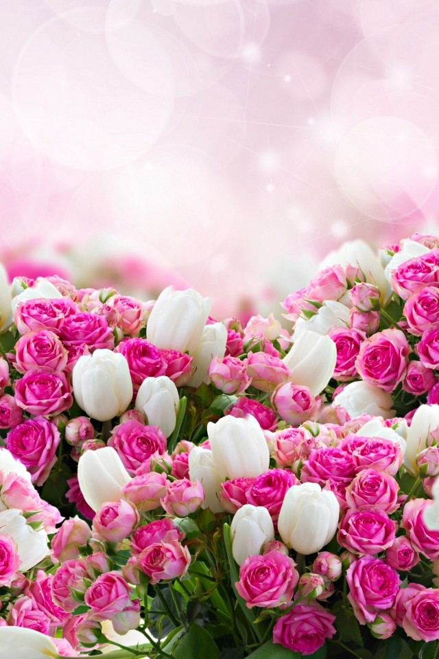 Розовые розы с белыми тюльпанами