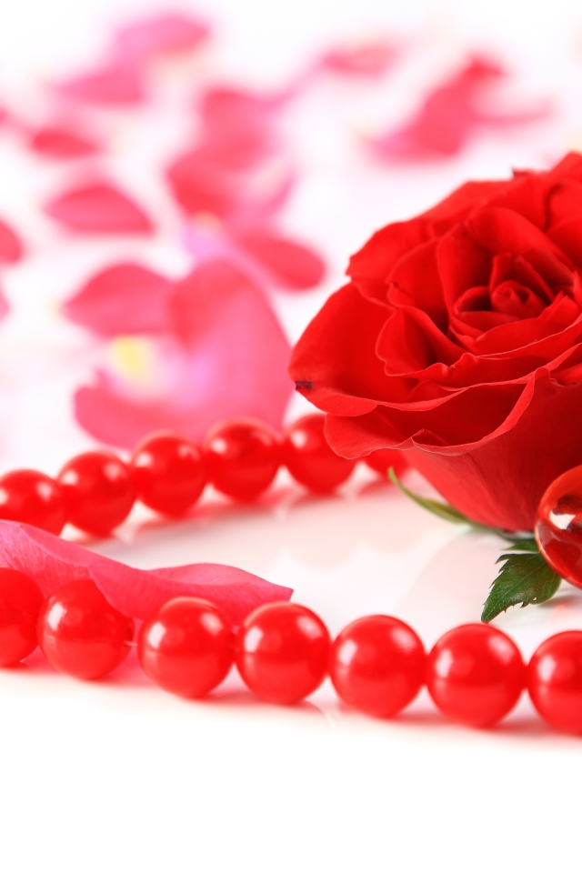 Красная роза с бусами и маленьким красным сердечком
