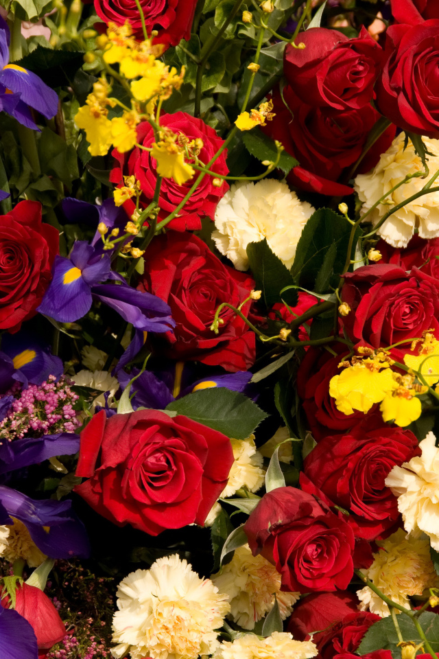 Розы, ирисы, гвоздики, орхидеи крупным планом