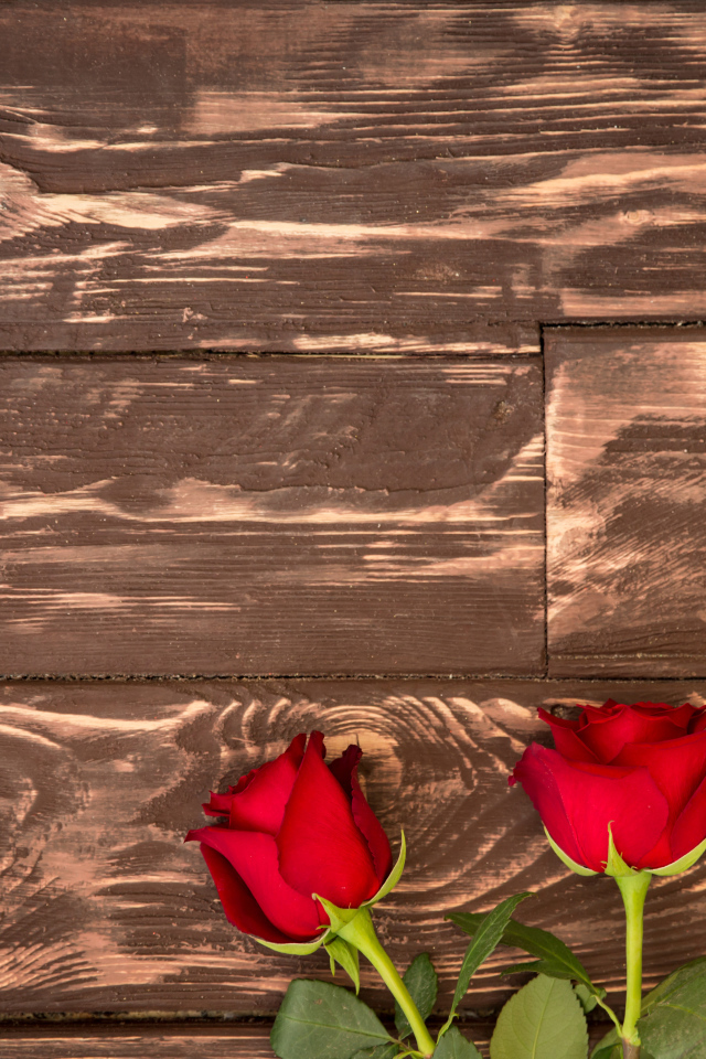 Три красные розы на деревянном фоне