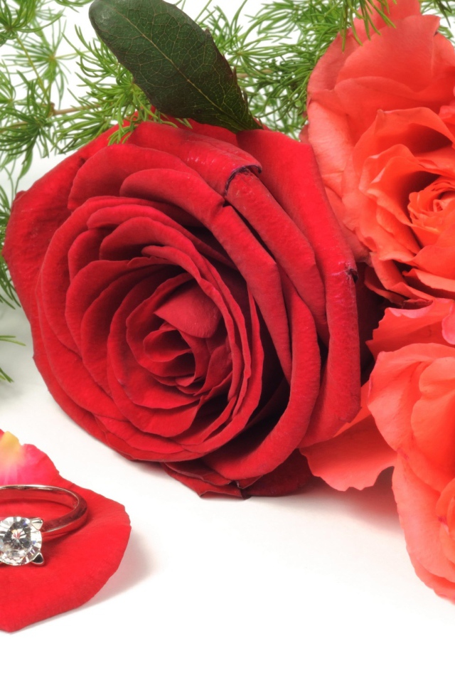 Три красных розы с красивым кольцом с бриллиантом
