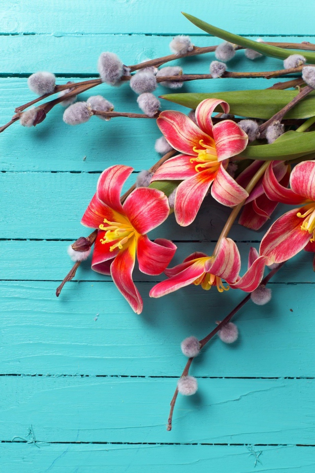 Тюльпаны с веточками вербы на голубом фоне