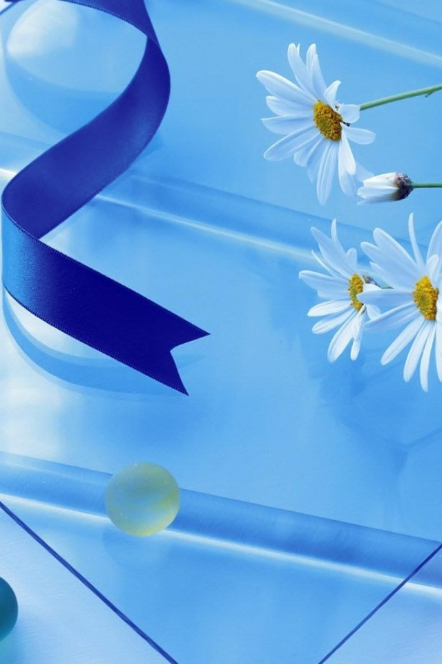 Белые ромашки на стеклянном столе с атласной лентой 