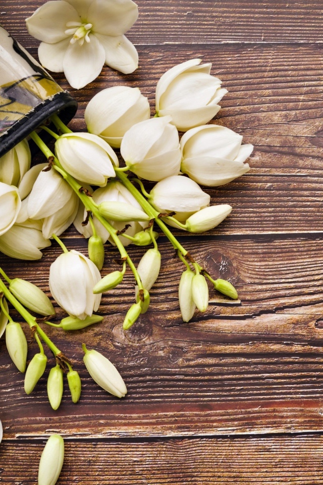 Белые цветы на деревянном фоне