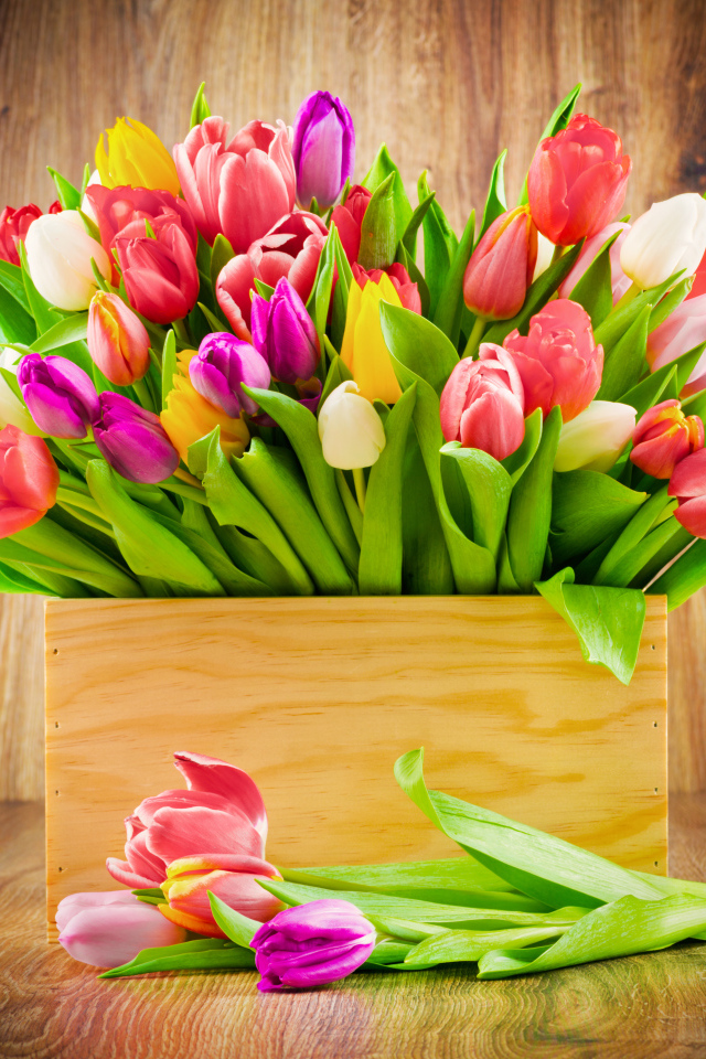 Деревянный ящик с разноцветными тюльпанами