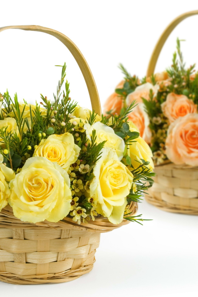 Желтые и оранжевые розы в корзинках на белом фоне