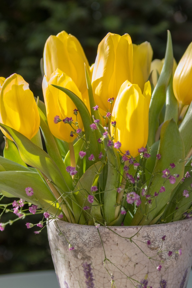 Желтые тюльпаны с цветами гипсофилы в вазе