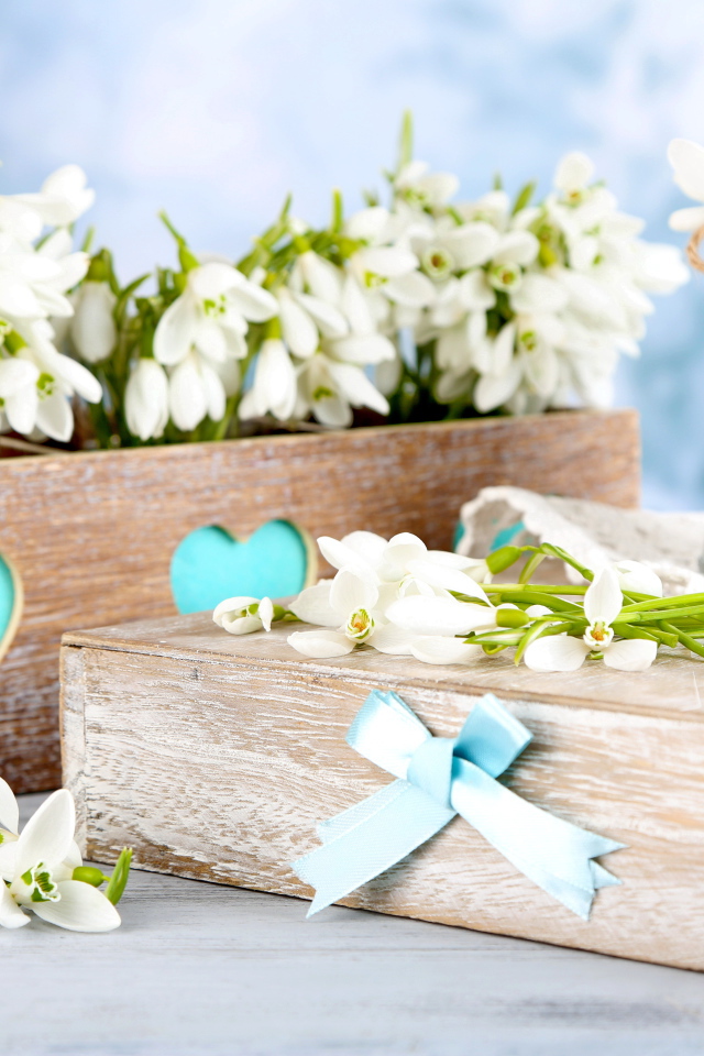 Красивые нежные белые подснежники в деревянном ящике