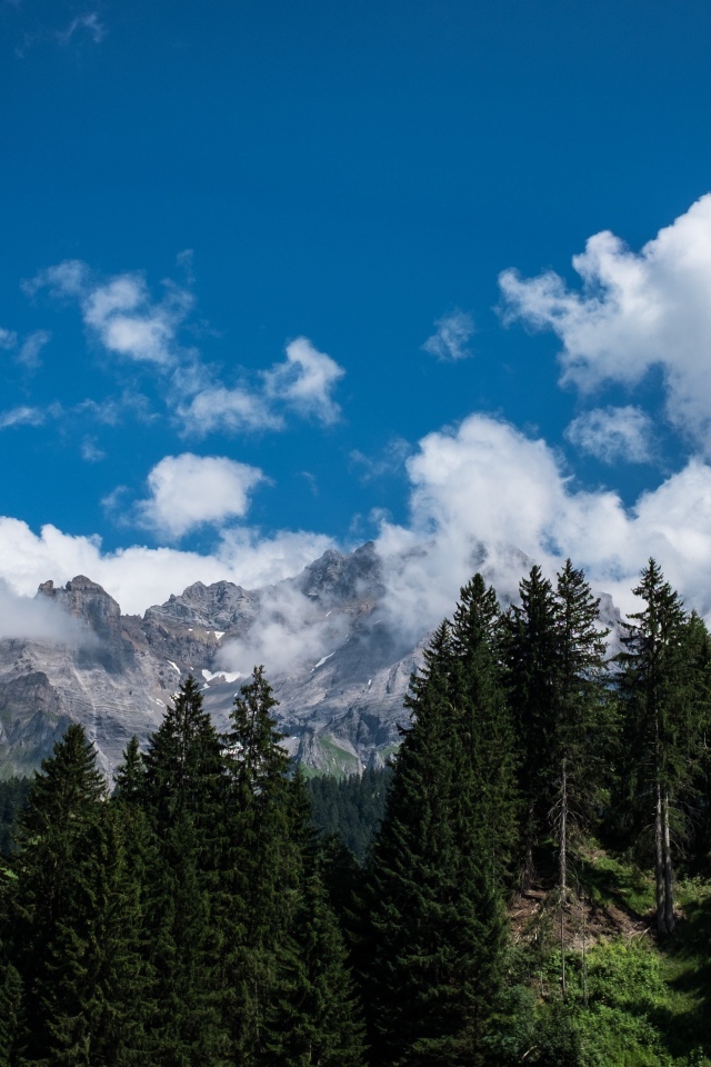 Горы у зеленого леса под белыми облаками в голубом небе