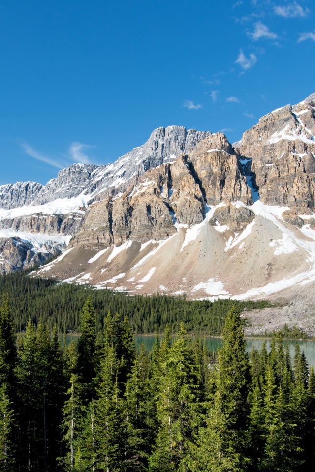 Заснеженные горы с озера у зеленого леса под голубым небом