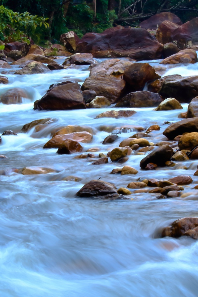 Быстрая горная река стекает по камням