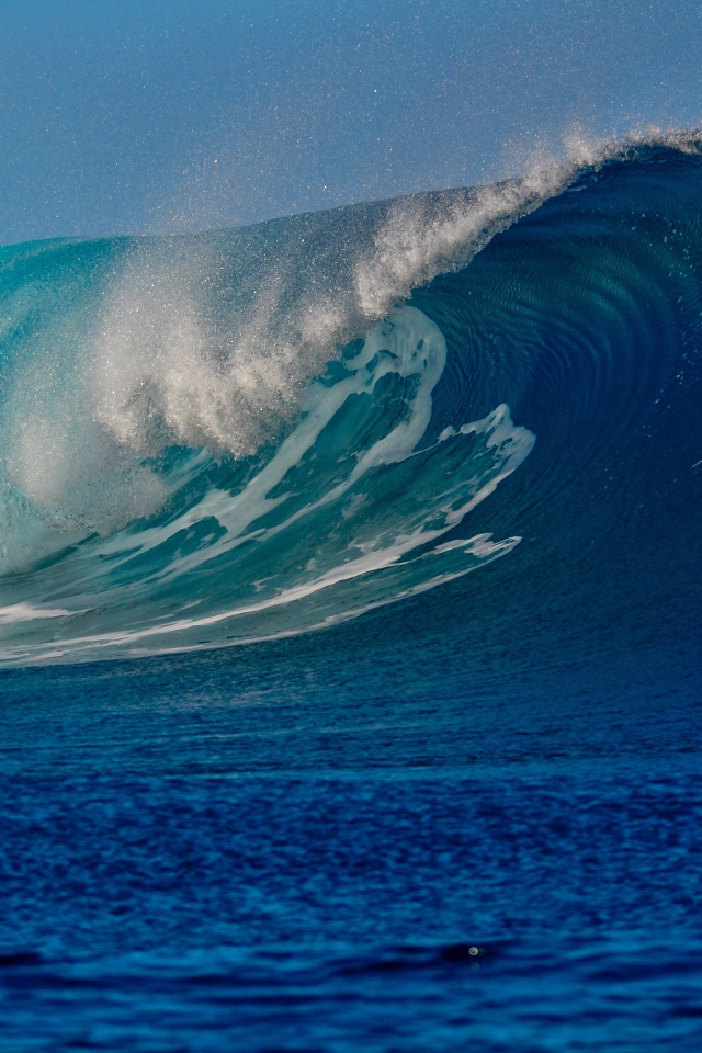 Высокая красивая волна в море