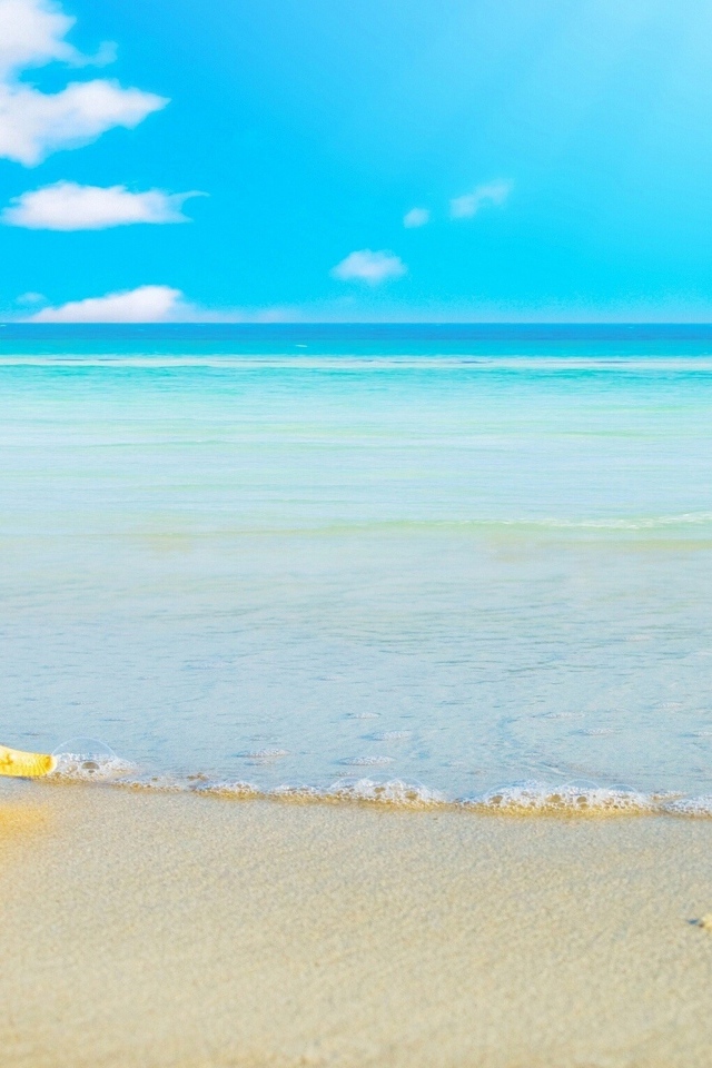 Морская звезда на белом песке у моря под голубым небом