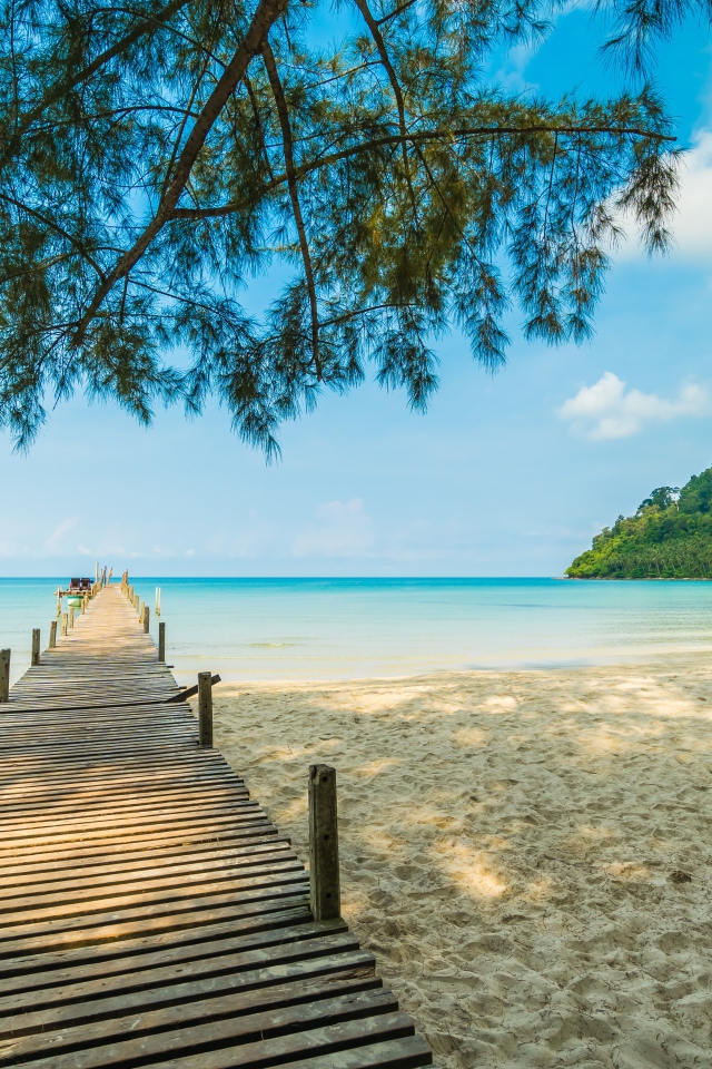 Деревянный мост под деревом в океане 