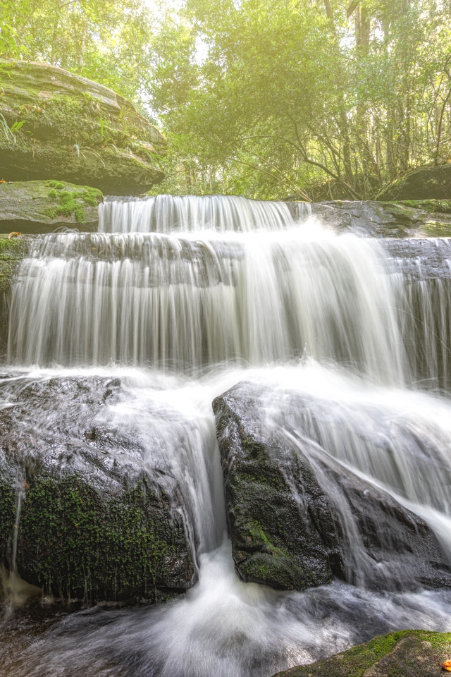 Лесной водопад стекает по камням