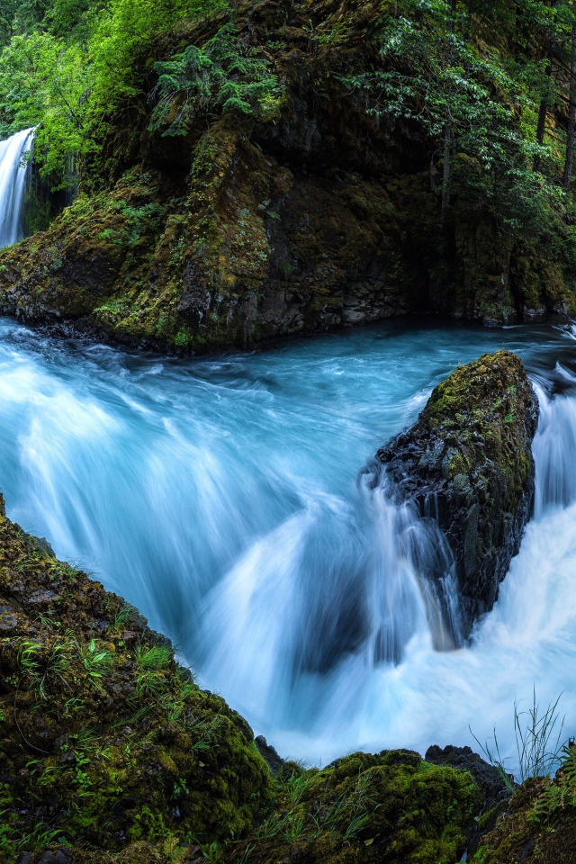 Быстрый лесной водопад бежит по мокрым камням