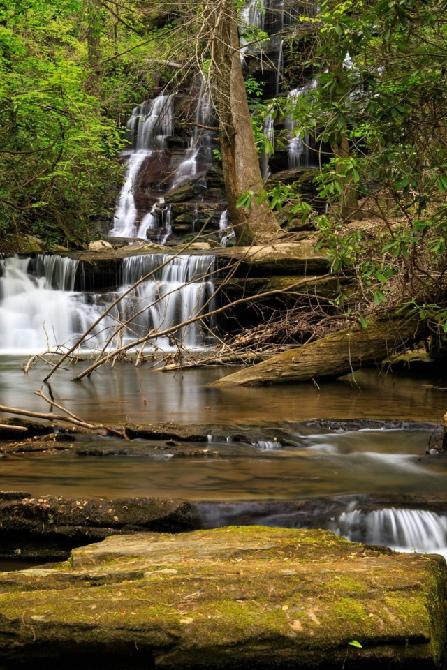 Водопад стекает по камням в лесу